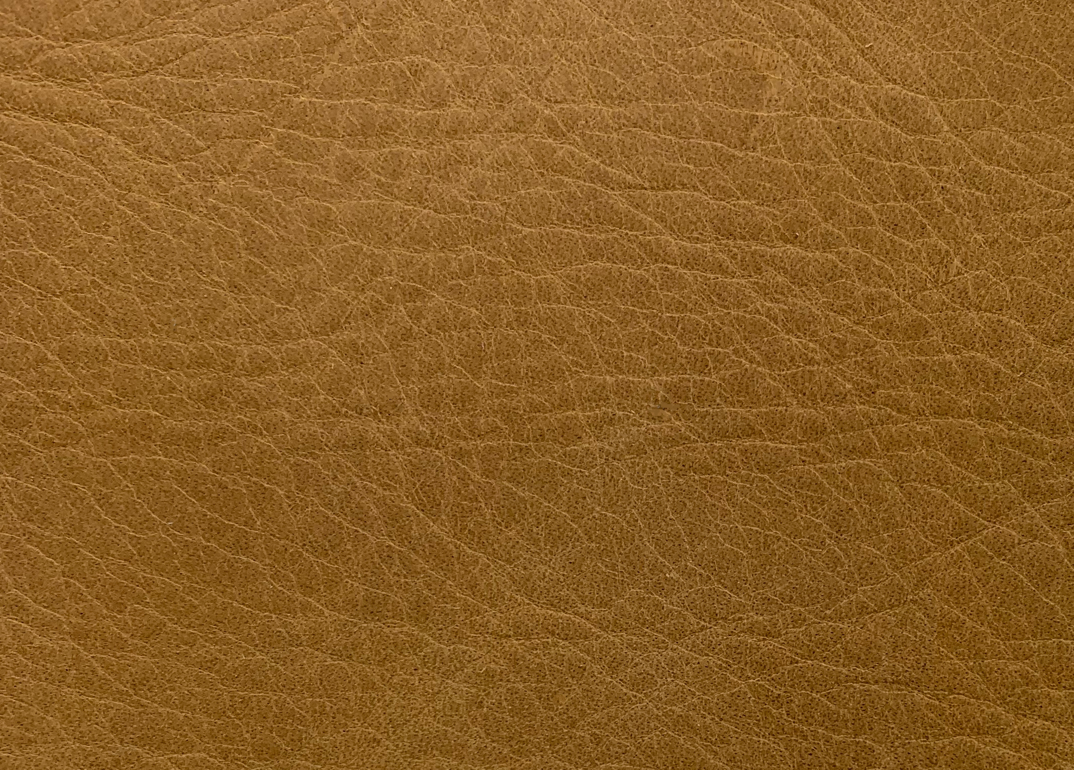 MA 8503.1